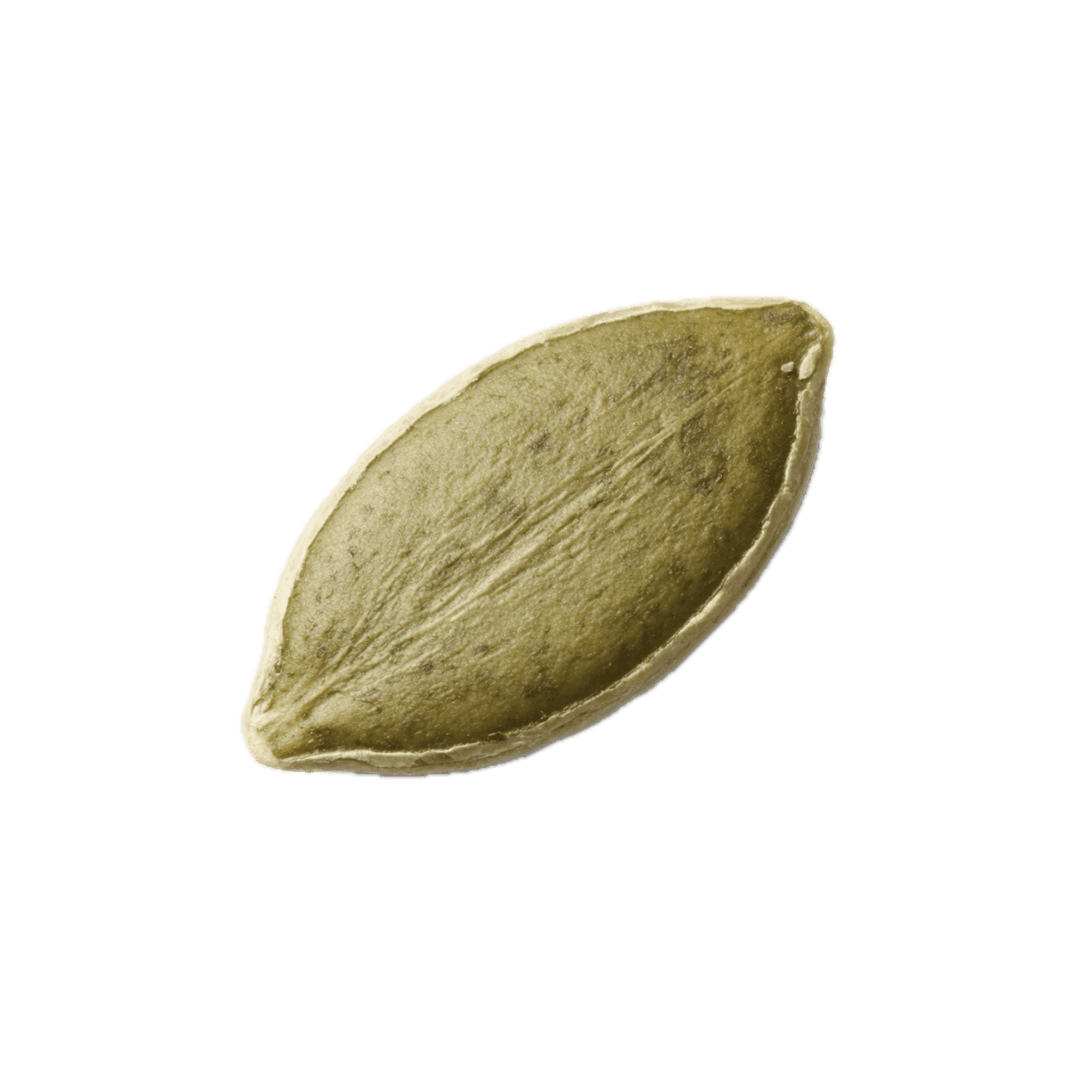 Pumpkin Seeds